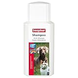 BEAPHAR - Anti-Allergie Shampoo Für Hunde Und Katzen - Hautfreundlich - Mit Methyl Sulfonyl Methan (MSM) - Beruhigt Empfindliche Haut - 200 ml