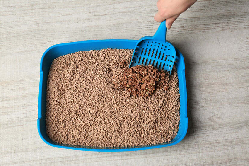Katzenstreu klumpend