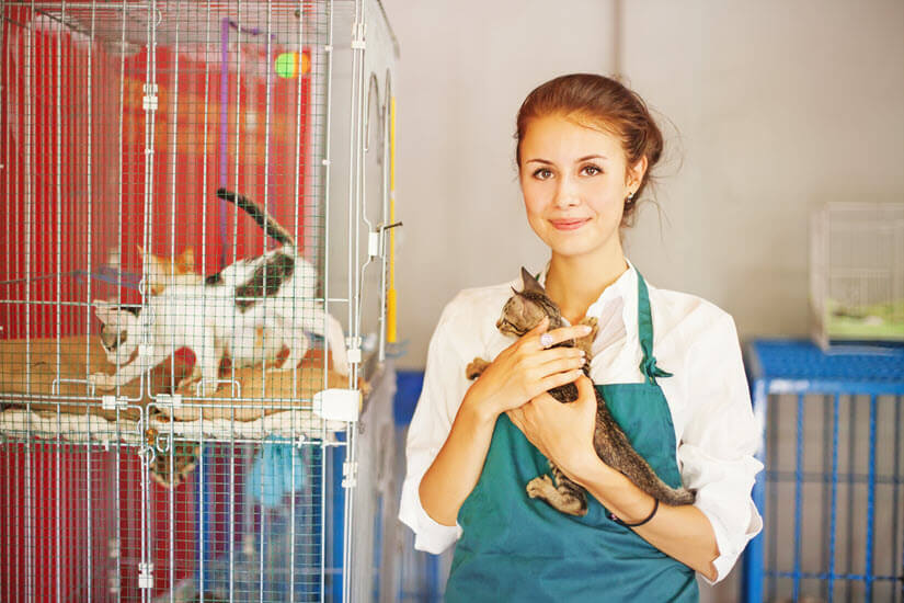 Tierheimmitarbeiterin mit Katze auf dem Arm