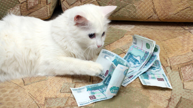 Katze mit Geld auf einer Couch