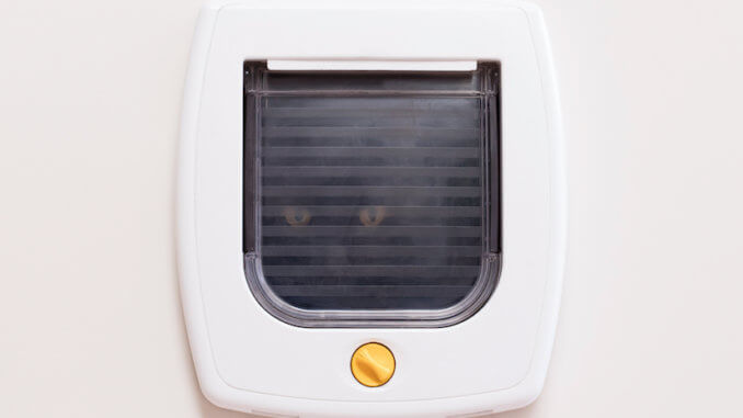 Eine ganz normale Katzenklappe kann auch in ein passendes Fenster eingebaut werden