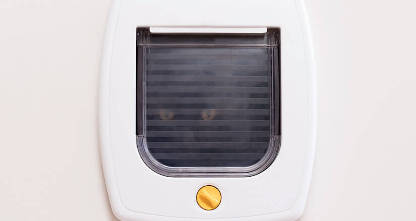 Eine ganz normale Katzenklappe kann auch in ein passendes Fenster eingebaut werden