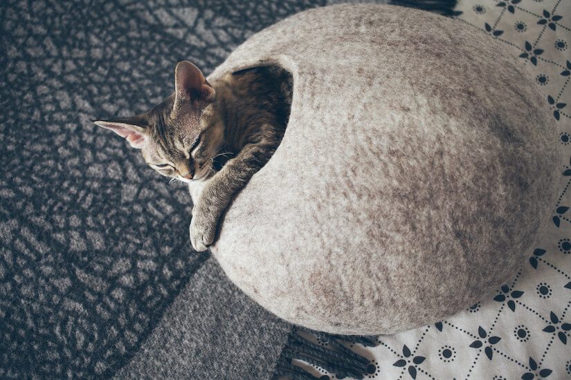 Katze in einer Filz Kuschelhöhle