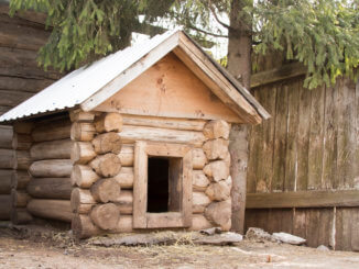 Katzenhaus im Freien