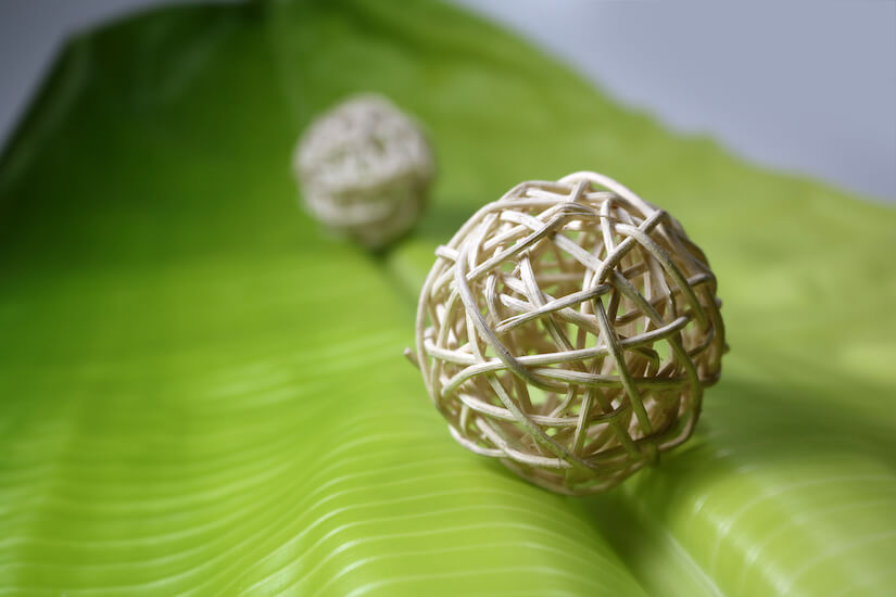 Kratzbäume aus Banana Leaf sind im Trend