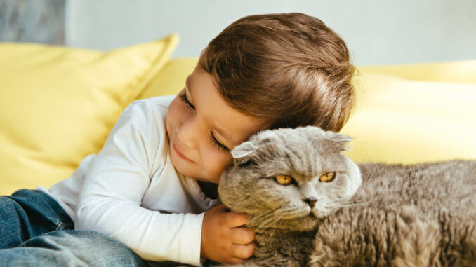 Ein Kind und eine junge Katze schmusen