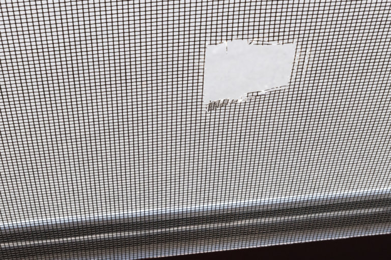 Katzengitter Fenster