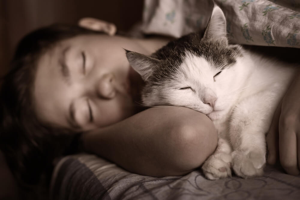 Katze schläft ruhig mit ihrem Besitzer
